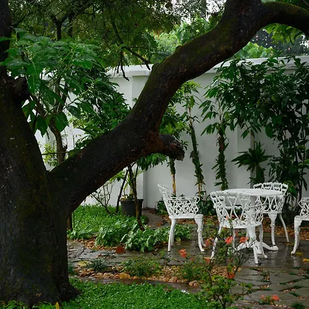 Surya Heritage Hotels-2