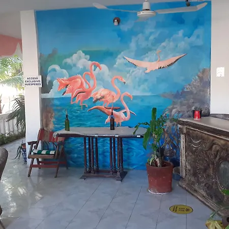 Flamingo Guest House-2