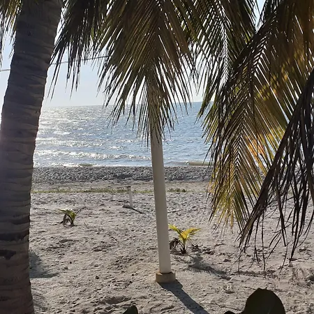 Flamingo Guest House-3