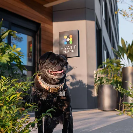 Hyatt Place Atlanta/Perimeter Center-3