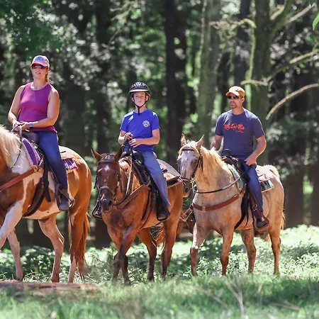 Southern Cross Guest Ranch-2