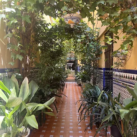 Hostal Atenas-3