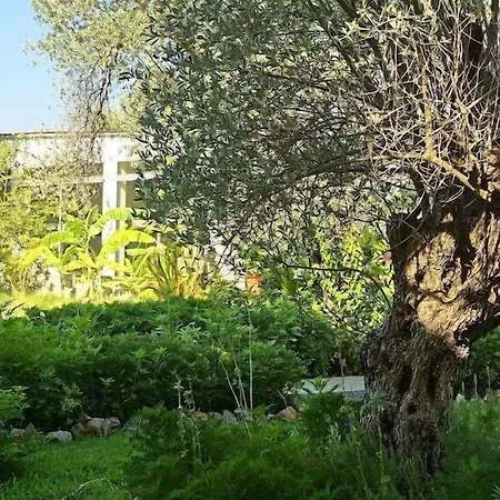 Saint George Resort-2