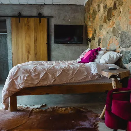 Casa Fenix-3