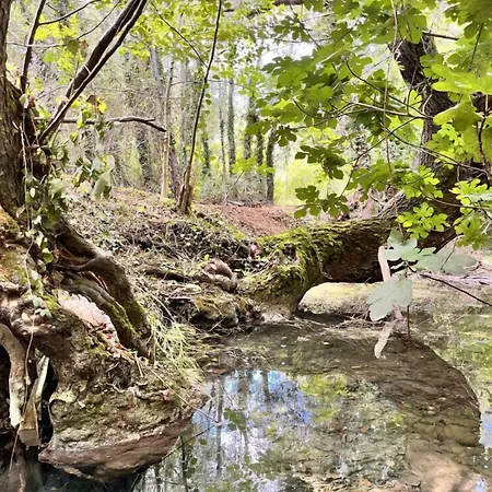 Le Moulin Dumas-3