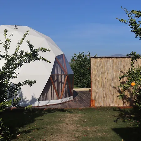 Mandalin Glamping-3