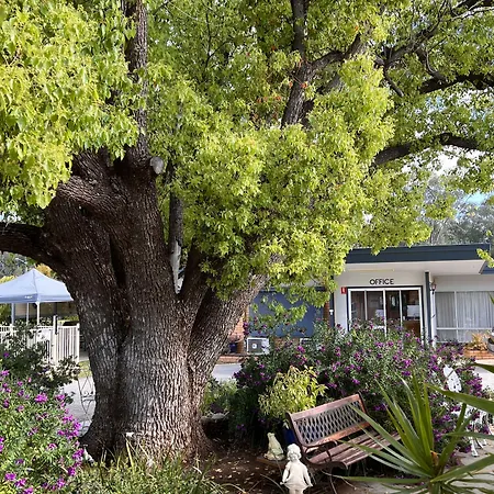 Sturt Motel Balranald-2