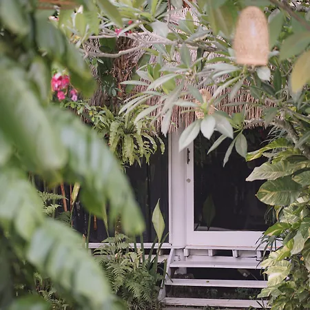 Liv Canggu - An Urban Sanctuary-3