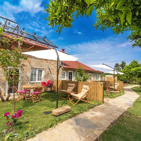 Kamkat Otel-2