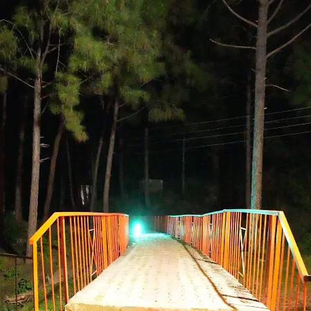 Pine Hideout-2