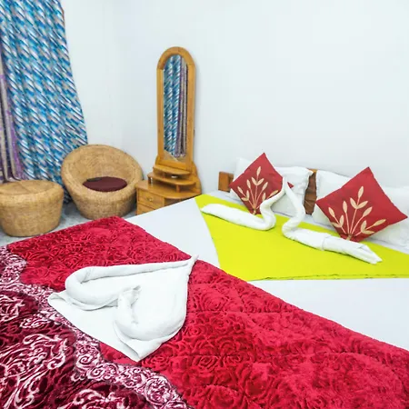 Jungle Star Mansion-2