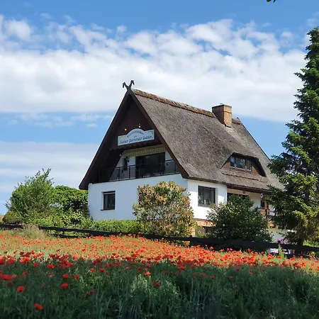 Pension Petersen-2