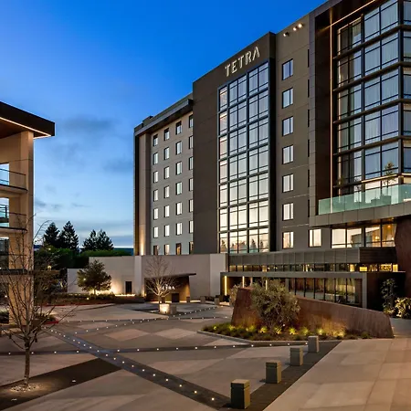 Tetra Hotel, Autograph Collection-2