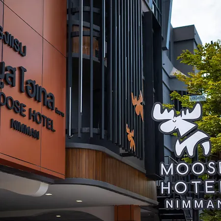 Moose Hotel Nimman-3