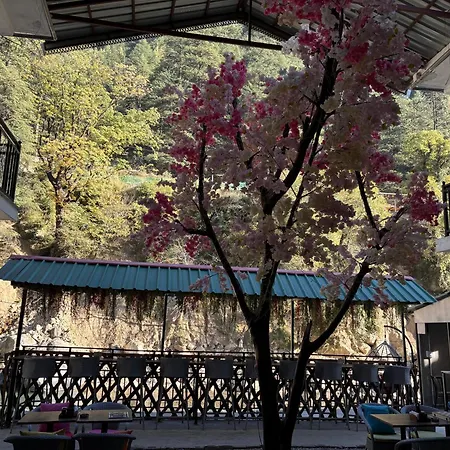 Hom House Of Mannmauji Riverside Kasol-3