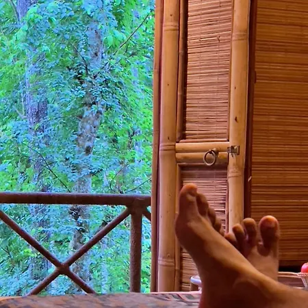Adrak Mountain Mist Forest Resort-3