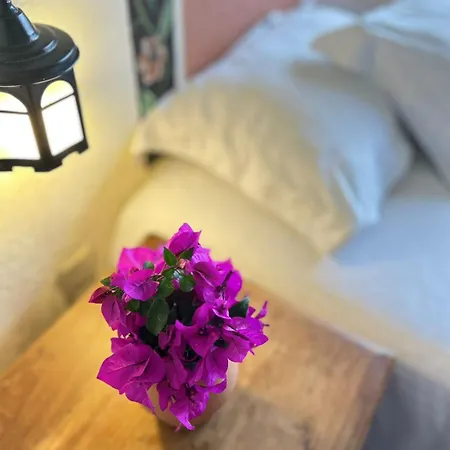 Posada Ali-2