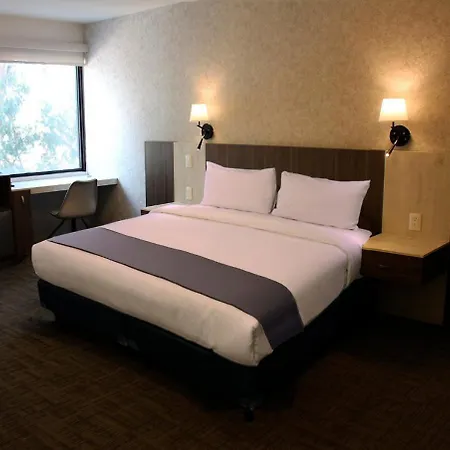 Jm & Suites-2