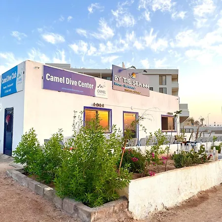 Camel Dive Club By The Sea Inn-3