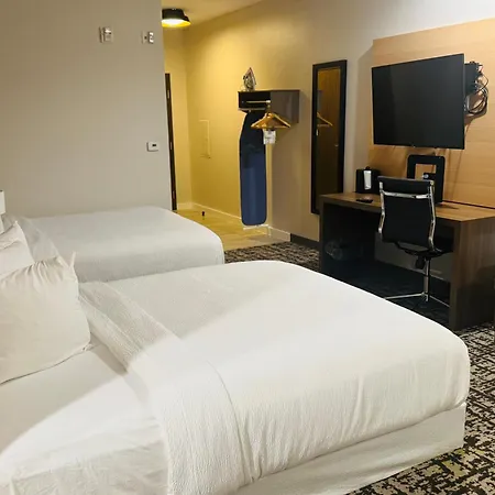 Best Western Plus Pearland/Houston Medical Center Hotel-2
