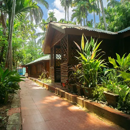 Palm Grove Eco Resort-3