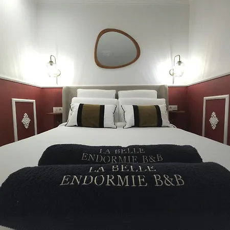 La Belle Endormie&SPA Guest house-3