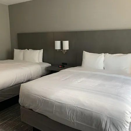 Comfort Inn & Suites Olive Branch Old Towne-2