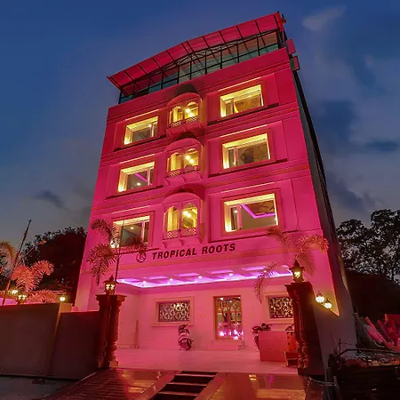 Treebo Royal Mirage, Bhoopatwala-3