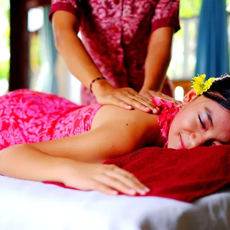Bali Taman Lovina Resort & Spa Suites-2