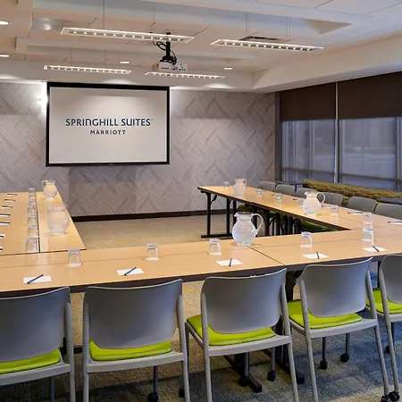 Springhill Suites By Marriott Wixom Novi-3