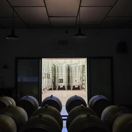 Château Bonalgue - Pomerol-3