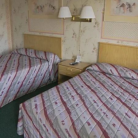 Motel 8 Willcox-3