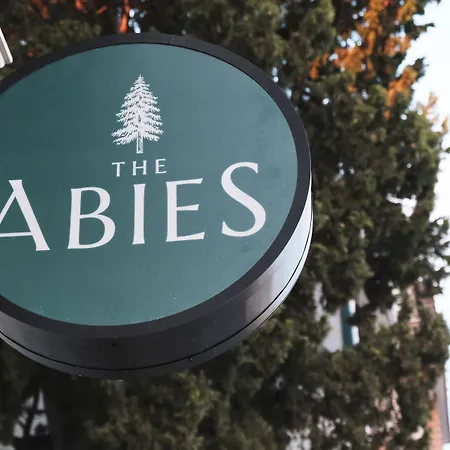 The Abies-2