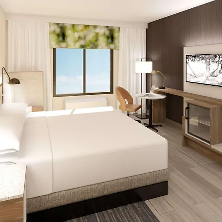 Wyndham Garden Orlando Airport - Free Airport Shuttle - Park N' Fly Available-2