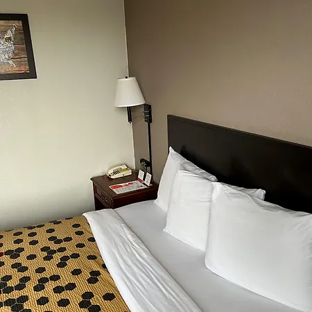 Red Carpet Inn Quantico-3