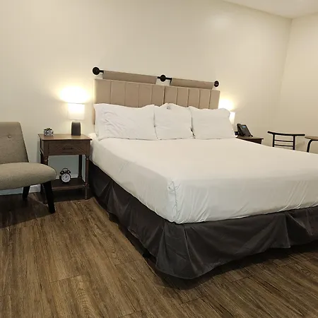 The Honey Bee Motel-2