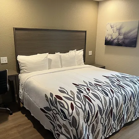 Red Roof Inn Haltom City-3