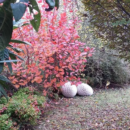 Teapot House-3