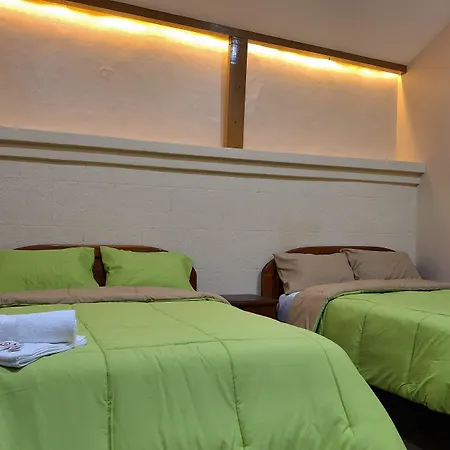 The Travel House-2