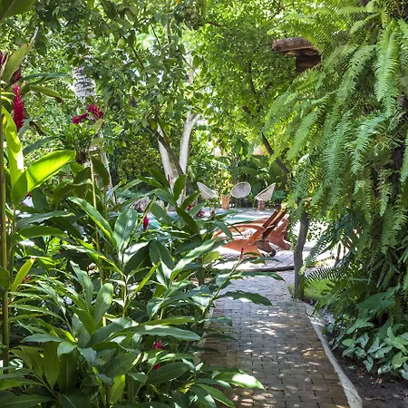 Casa Das Aguas Trancoso-2