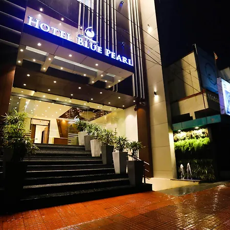 Hotel Blue Pearl Chikmagalur-3