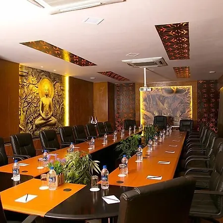 Hotel Hampi International-2