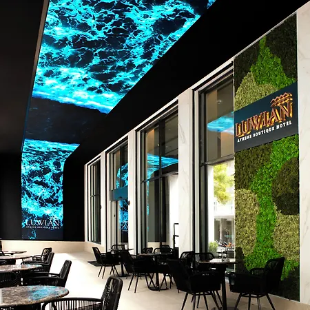 Luwian Athens Boutique Hotel-3