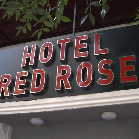 Hotel Red Rose-3