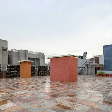Treebo Blue Moon-2
