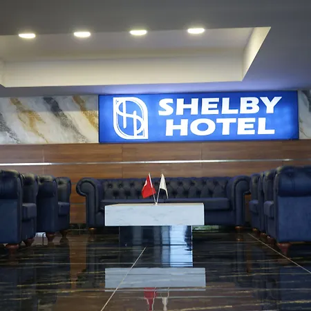 Shelby Hotel-3