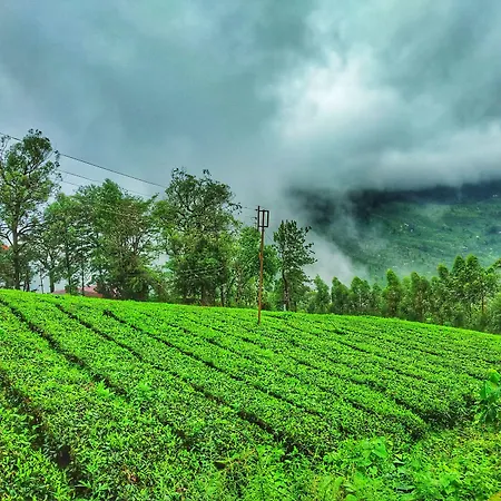 Mount Valley Resort - A Secluded Getaway-2