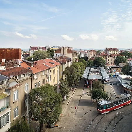Dot Sofia-2