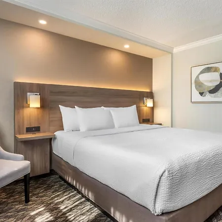 BEST WESTERN PLUS Carlton Plaza Hotel-3