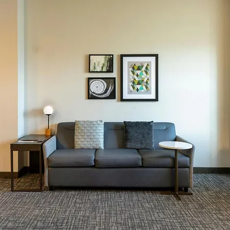 Residence Inn Rochester Mayo Clinic Area-2